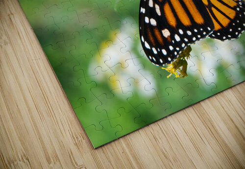 Eastern Monarch Butterfly JLW Photos puzzle