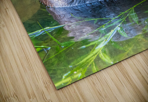 Hungry Beaver Chad Meyer puzzle