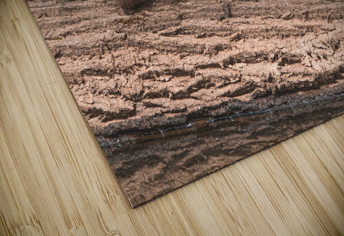 Juvenile Ducks in a Row Chad Meyer puzzle