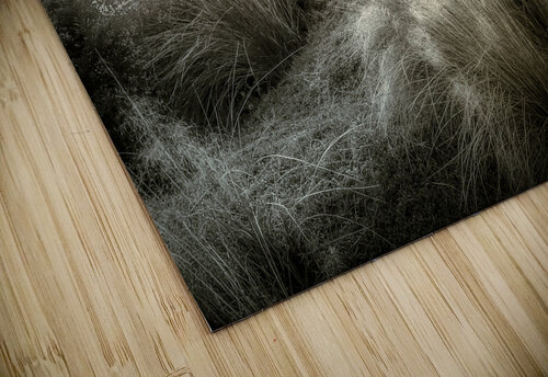 Glow of Winter on the Marshlands Norma Brandsberg Photography puzzle