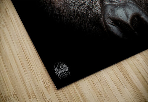 Gaze of Bahati Nate Solo puzzle