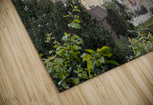 Rainbow over Praha Czech Republic Mary Lee Dereske puzzle