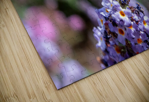 Fiery Skipper - Soft Glow on Lavender Chad Meyer puzzle