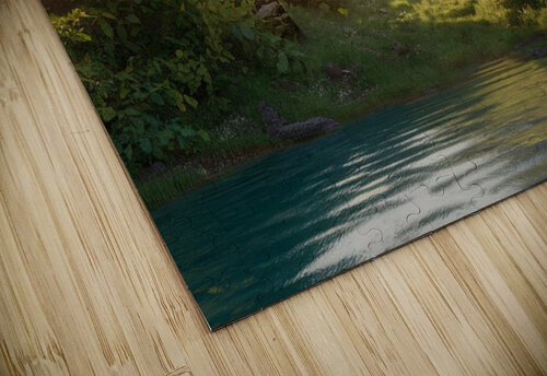 Enchanted Landscapes Helena ART puzzle