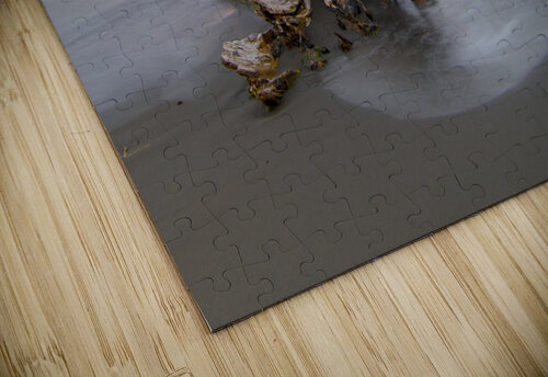 Caribbean Driftwood and Black Sand Beach Norma Brandsberg Photography puzzle