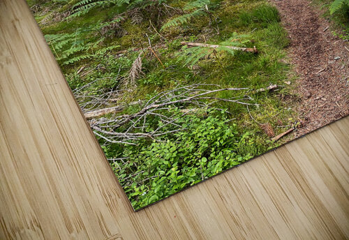 On the Nature Trail in the Scottish Highlands Catriona Roberts Nature Photography and Designs puzzle