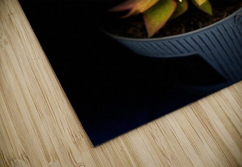 Summer Plant in a Tub  Catriona Roberts Nature Photography and Designs puzzle