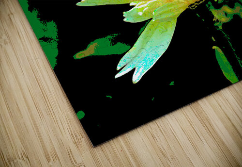 Abstract Summer Daisy Flower Catriona Roberts Nature Photography and Designs puzzle