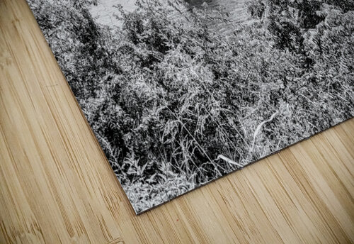 Boats Under Kimberling City Bridge Grayscale Jennifer White puzzle