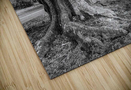 McClellanville Historic Live Oak Tree Norma Brandsberg Photography puzzle