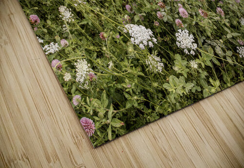 They Play So Well Together Thea Menagh puzzle