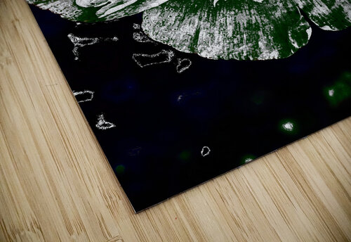 Abstract Dark Poppy Flower Catriona Roberts Nature Photography and Designs puzzle