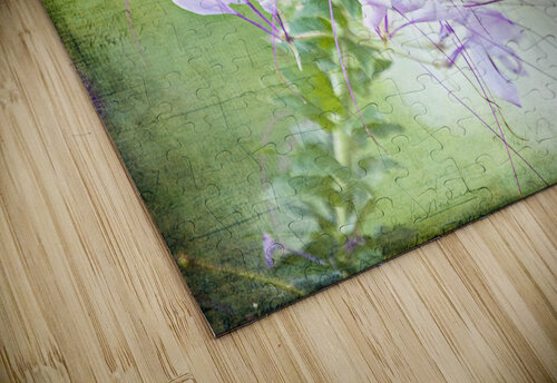 Veil of Serenity Suzanne Sturgill puzzle