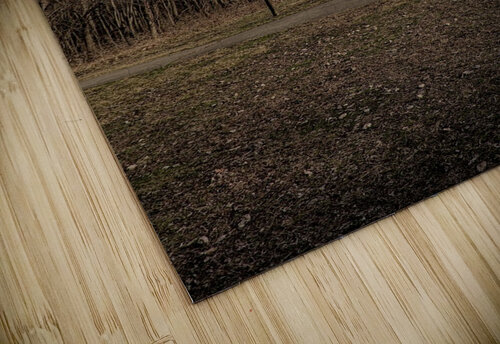 2024 Portfolio 3 Jesse Schilling puzzle