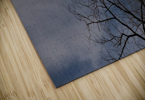 2024 Portfolio 5 Jesse Schilling puzzle