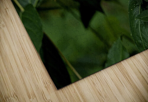 2024 Portfolio 16 Jesse Schilling puzzle