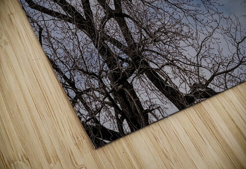 2024 Portfolio 24 Jesse Schilling puzzle