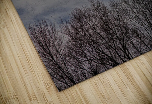 2024 Portfolio 27 Jesse Schilling puzzle