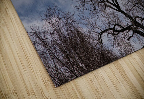 2024 Portfolio 1 Jesse Schilling puzzle