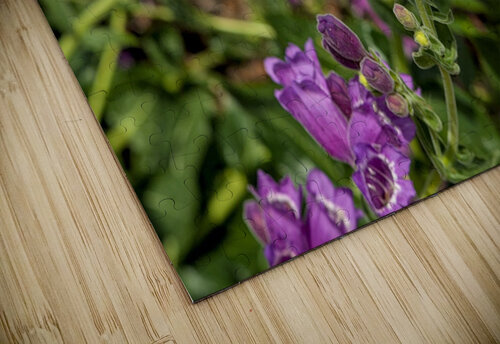 2024 Portfolio 4 Jesse Schilling puzzle