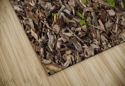 2024 Portfolio 19 Jesse Schilling puzzle