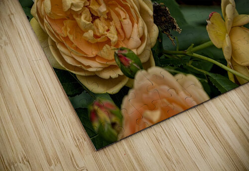 2024 Portfolio 20 Jesse Schilling puzzle