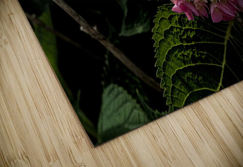 2024 Portfolio 35 Jesse Schilling puzzle