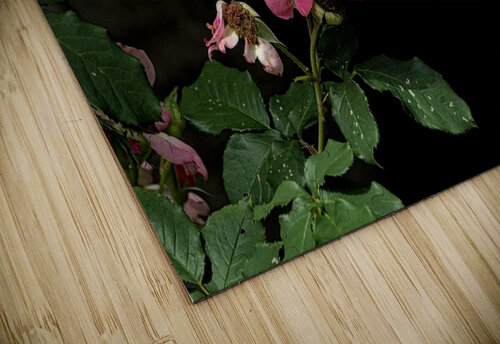 2024 Portfolio 34 Jesse Schilling puzzle