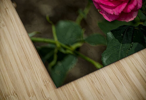 2024 Portfolio 38 Jesse Schilling puzzle