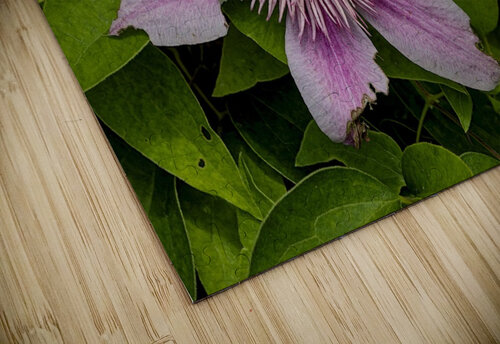 2024 Portfolio 49 Jesse Schilling puzzle