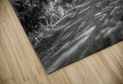 Botany Bay Tree Canopy in Black and White Norma Brandsberg Photography puzzle