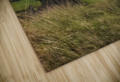 Normandy Windmill in the Grass Norma Brandsberg Photography puzzle