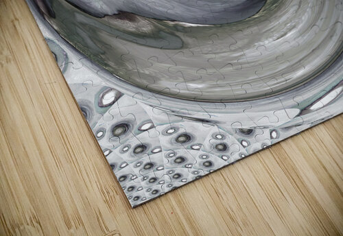 Abstract Silver Acrylic Circles Catriona Roberts Nature Photography and Designs puzzle