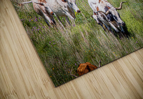 Till The Cows Come Home Susan Diann Photography puzzle