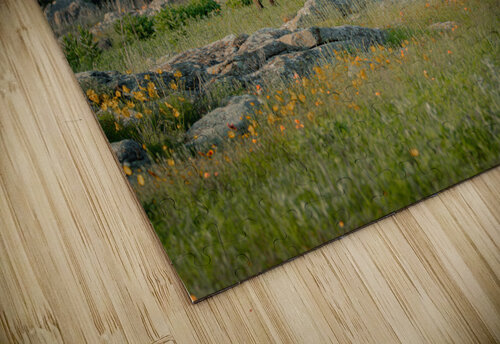 Bison And Wildflowers Susan Diann Photography puzzle