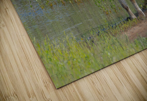 Heavy Metal Susan Diann Photography puzzle