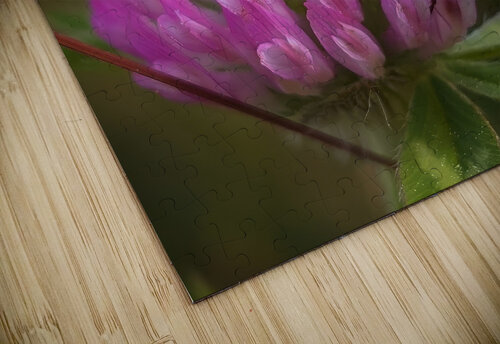 Bumbles Ballet - Maine Botanical Wall Art George Baines Photography   Connection in Moments of Light puzzle