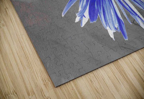 Abstract Luminescent Daisy Flower Catriona Roberts Nature Photography and Designs puzzle