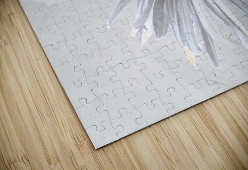 Abstract Minimalist Daisy Flower Catriona Roberts Nature Photography and Designs puzzle