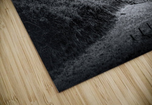 Cotentin Vauville Reserve Naturelle de la Mare  Norma Brandsberg Photography puzzle