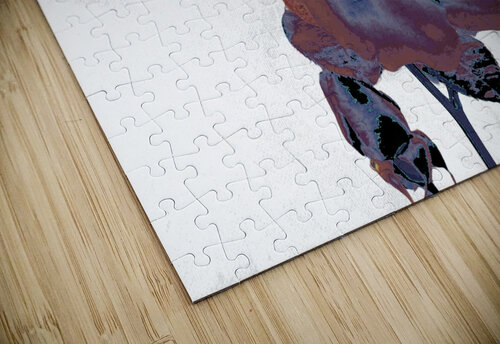 Abstract Dramatic  Rose Catriona Roberts Nature Photography and Designs puzzle