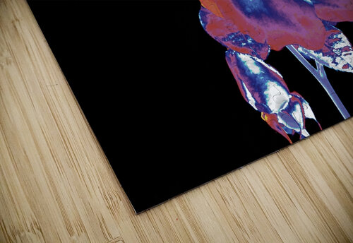 Abstract Vibrant Rose Catriona Roberts Nature Photography and Designs puzzle