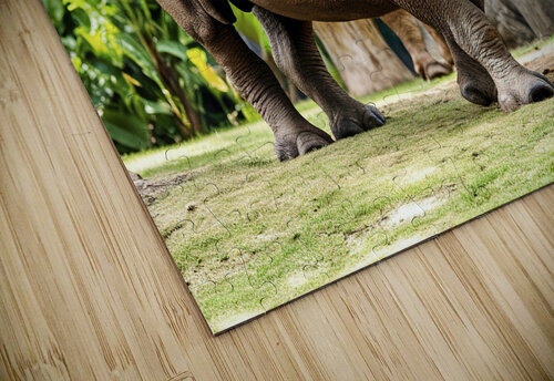 A rhinoceros in what appears to be a zoo or wildl 1722839494.4431 Veres Ioana puzzle