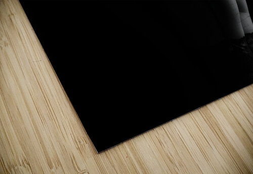 Silhouette of erotic woman posing in black lingerie Jelena Jovanovic Fine Art puzzle