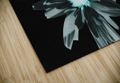 Abstract Glowing Daises on a Dark Background Catriona Roberts Nature Photography and Designs puzzle