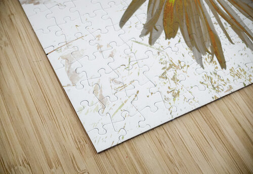 Abstract Daisy Light Star Catriona Roberts Nature Photography and Designs puzzle