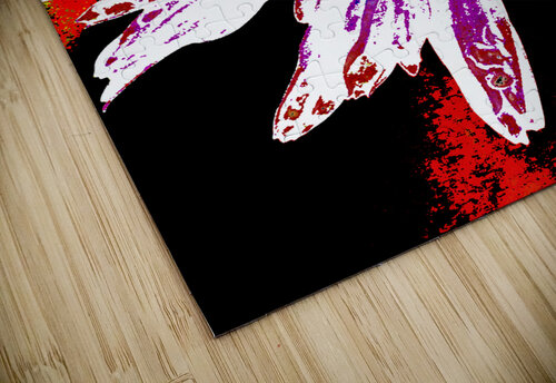 Abstract Daisy Black Centre Catriona Roberts Nature Photography and Designs puzzle