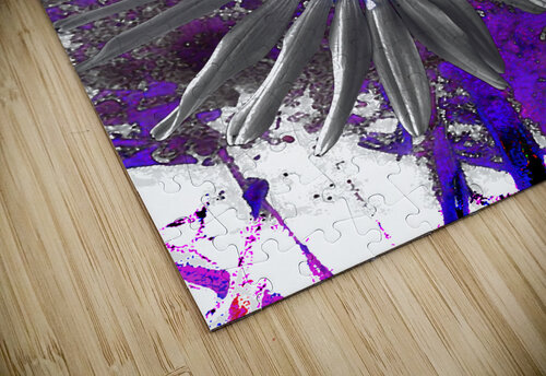 Cool Abstract Grey Daisy Catriona Roberts Nature Photography and Designs puzzle