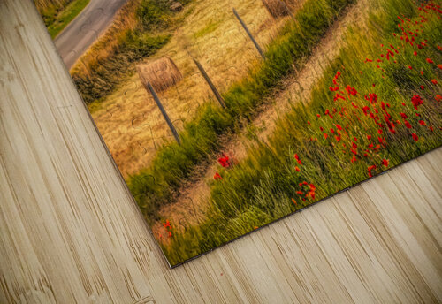 Normandy Lighthouse Bike Ride Norma Brandsberg Photography puzzle