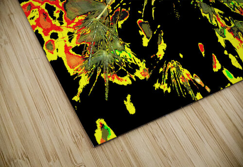 Bright Abstract Dandelion Clock Catriona Roberts Nature Photography and Designs puzzle